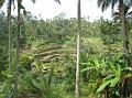 2007 07 17 BALI 0025
